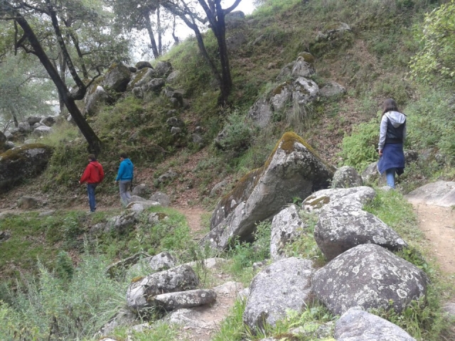  interpretierendes Wandern 